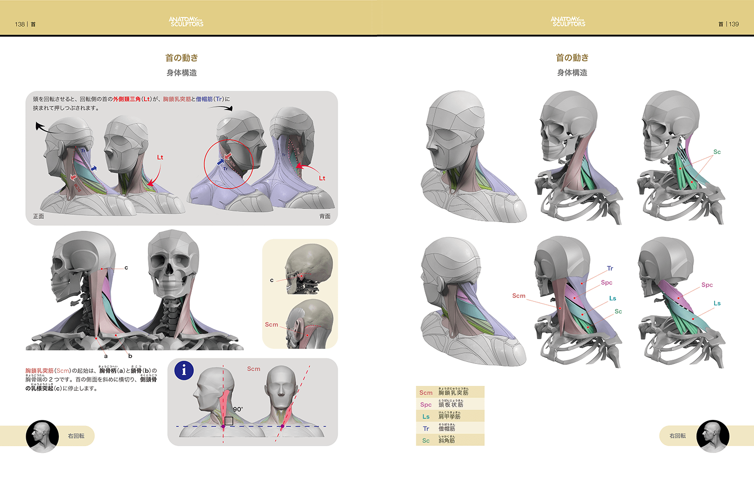 スカルプターのための美術解剖学 -Anatomy For Sculptors日本